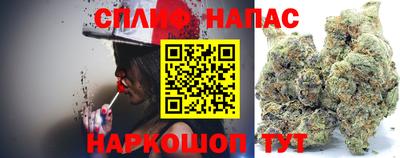 дживик Камышлов