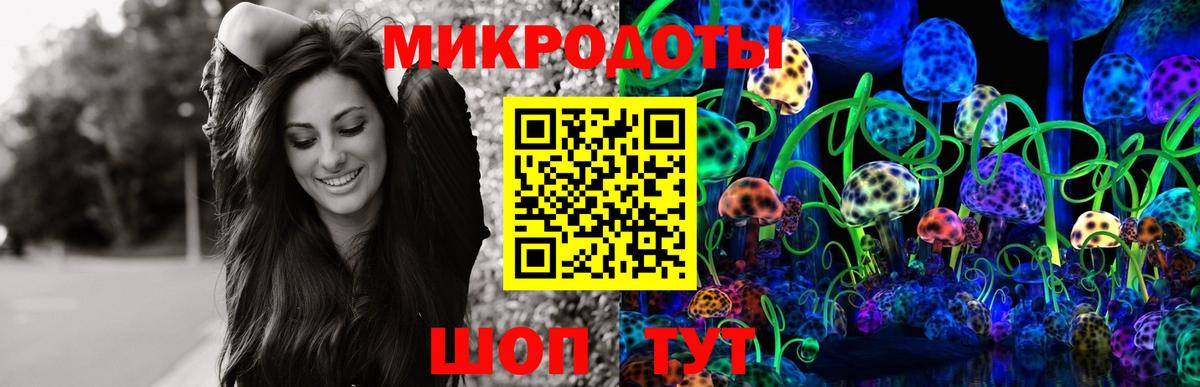 Псилоцибиновые грибы GOLDEN TEACHER Людиново